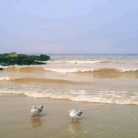 In By The Nieuwpoort