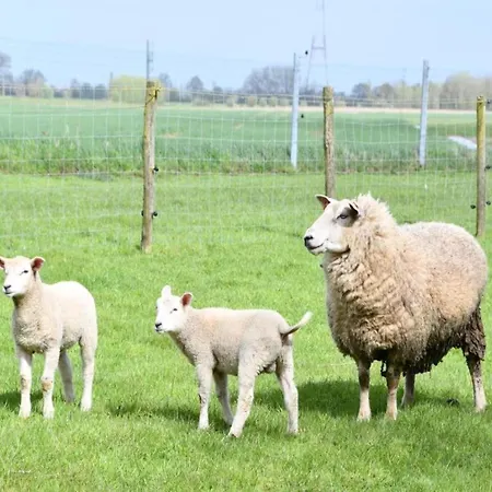 Appartement In By The